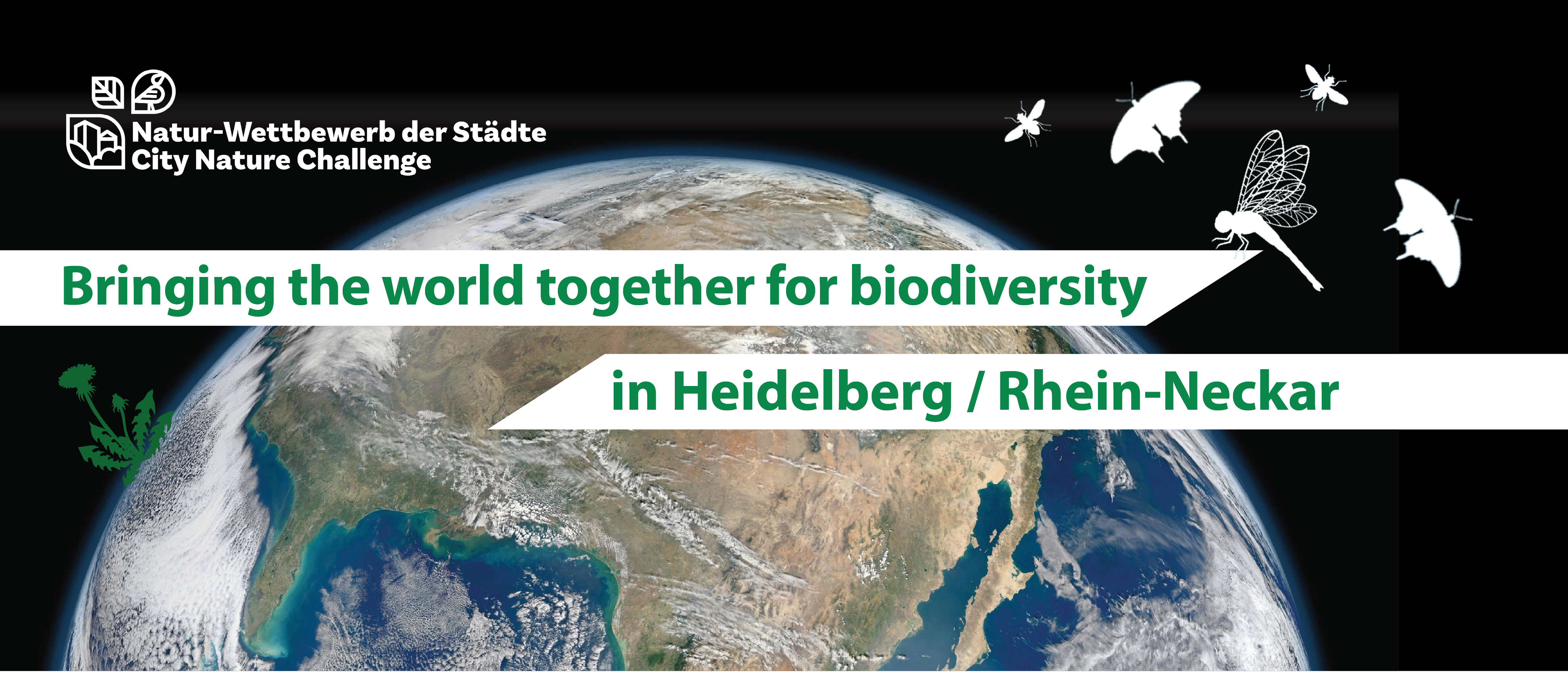 by [@katrin_simon](https://www.inaturalist.org/people/katrin_simon)